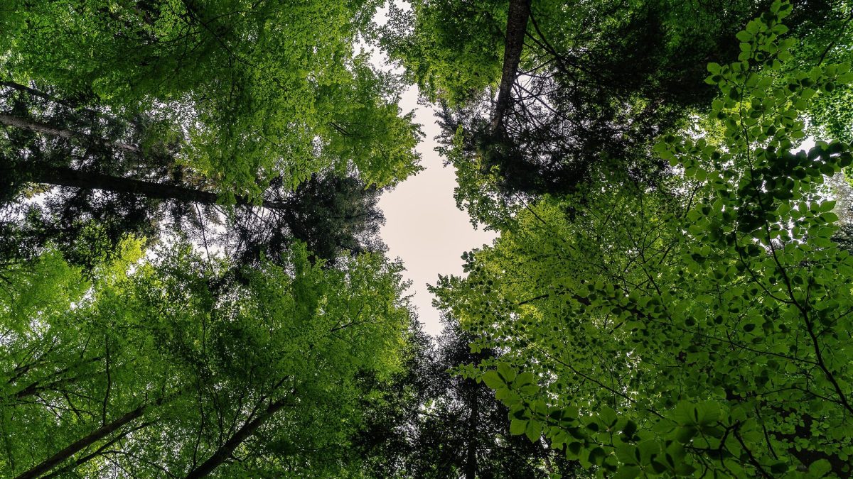 3 giorni/2 notti Trekking sulle vie dei viandanti medievali