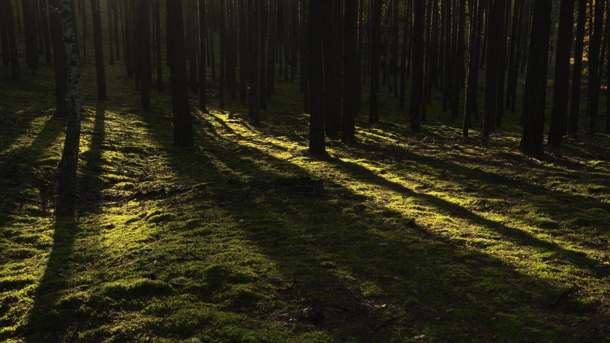 3 giorni/2 notti Trekking sulle vie dei contrabbandieri