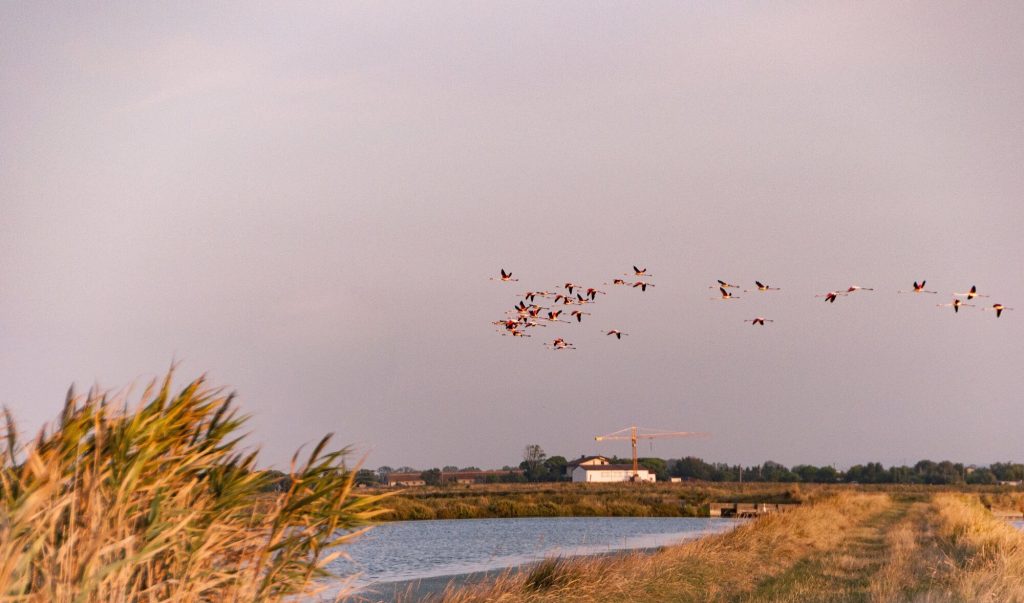3 giorni/2 notti Sagra del Sale di Cervia