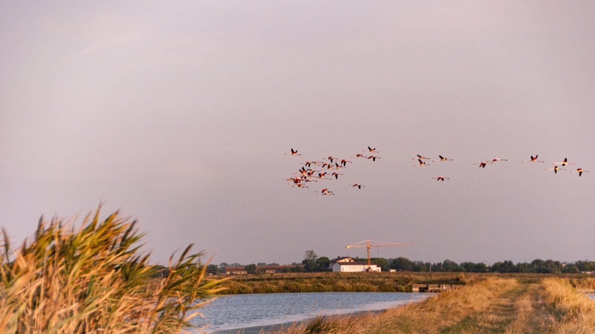 3 giorni/2 notti Sagra del Sale di Cervia