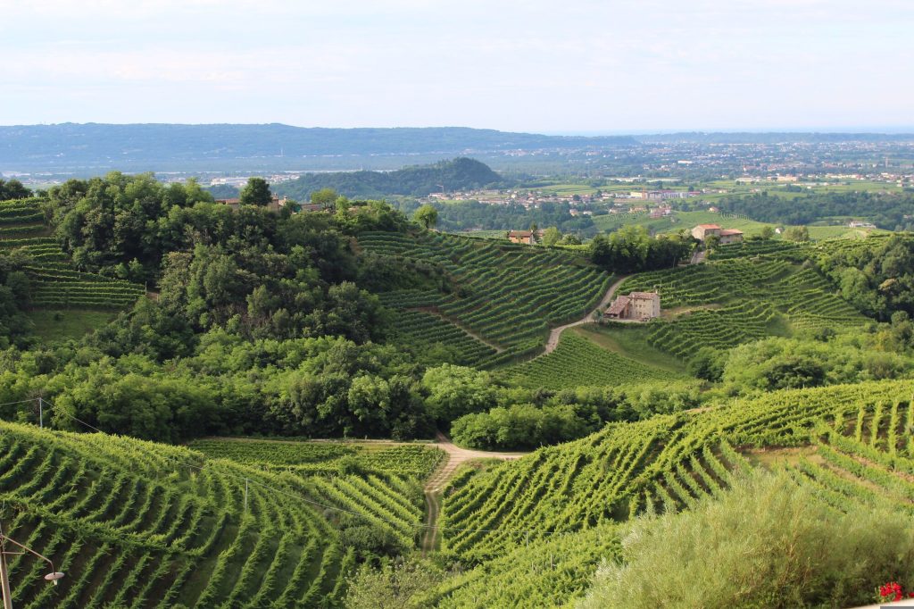 4 giorni/3 notti La strada del Prosecco