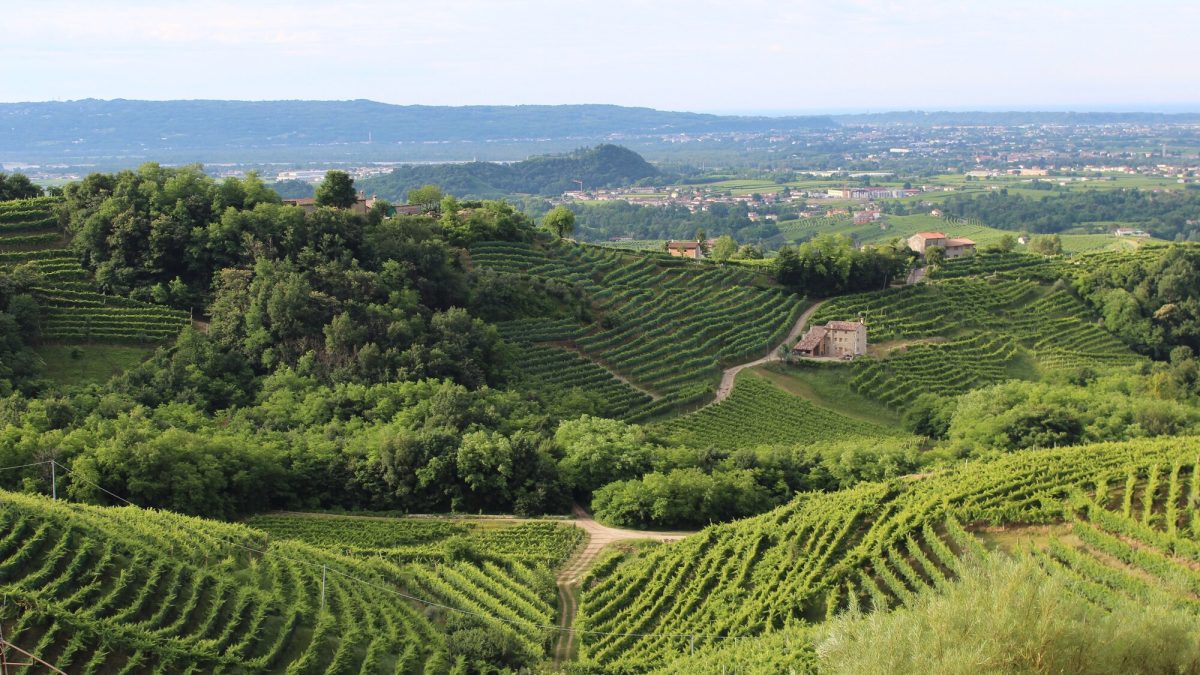 4 giorni/3 notti La strada del Prosecco