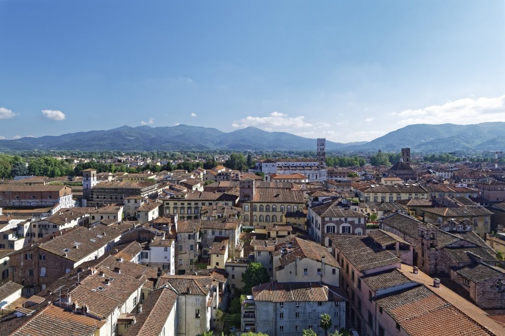 2 giorni/1 notte MOSTRA ANTICHE CAMELIE DELLA LUCCHESIA
