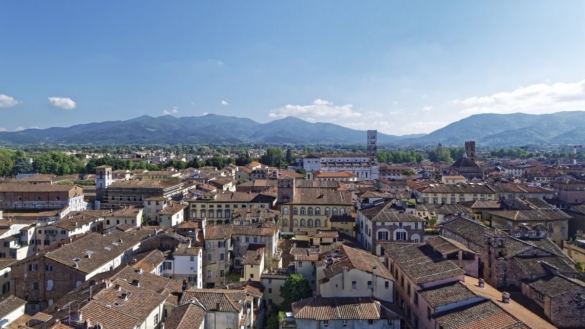 2 giorni/1 notte MOSTRA ANTICHE CAMELIE DELLA LUCCHESIA