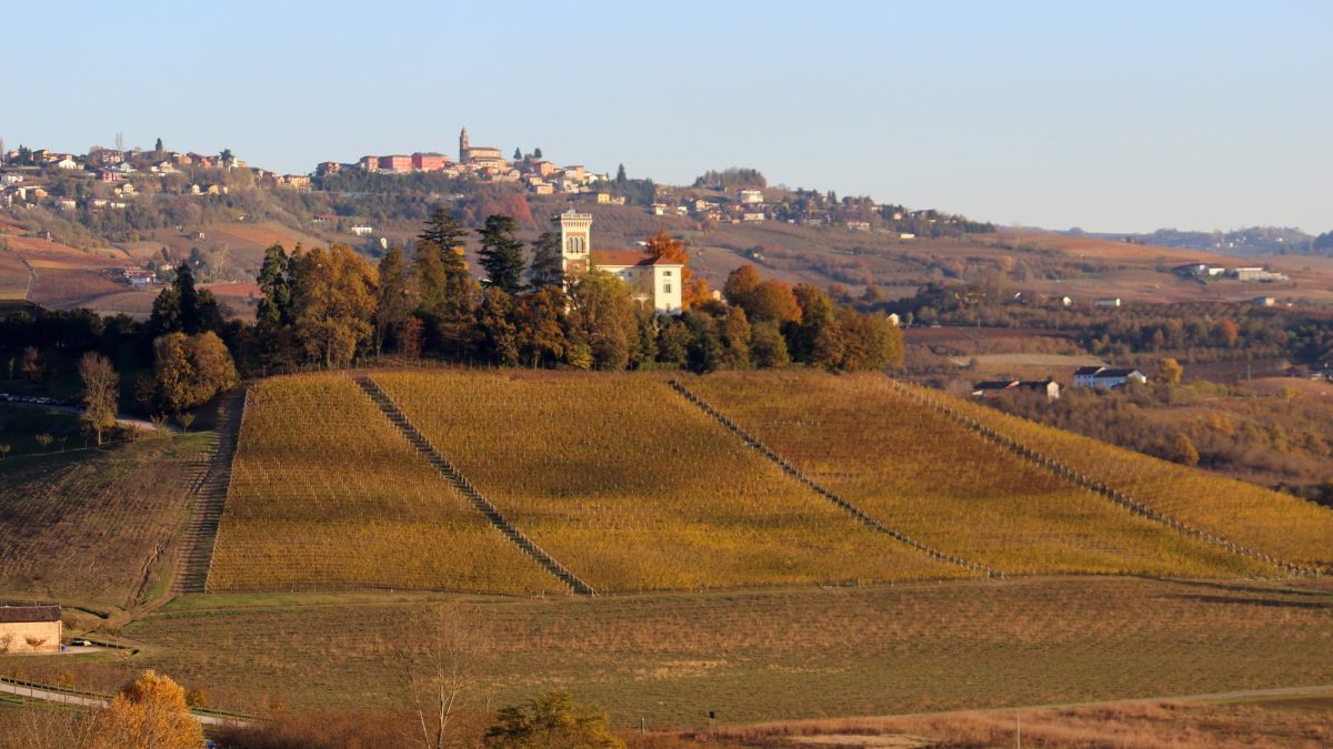3 giorni/2 notti Torino e le Langhe