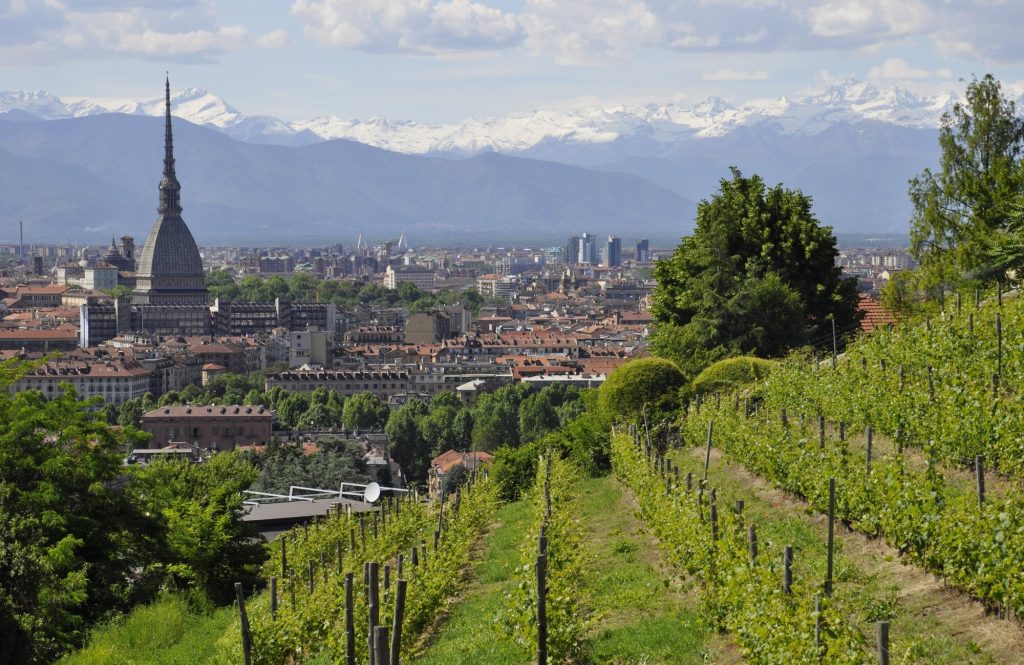 4 giorni/3 notti Le Langhe, i suoi vini e non solo…