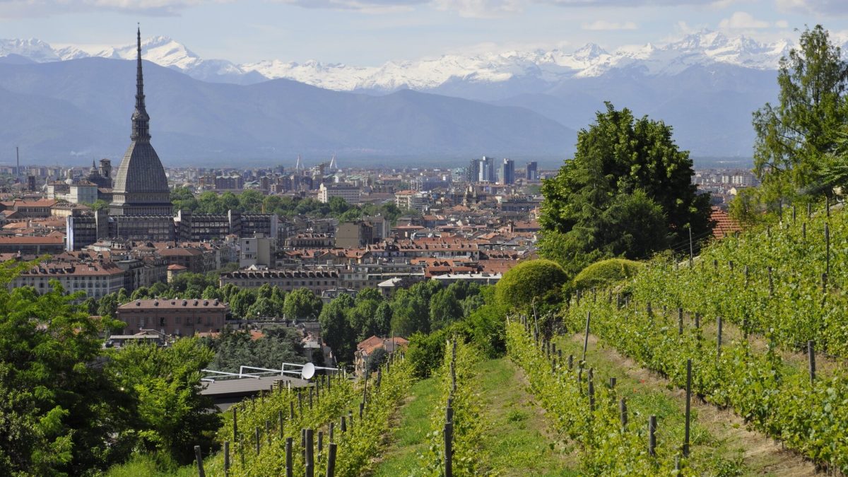 4 giorni/3 notti Le Langhe, i suoi vini e non solo…