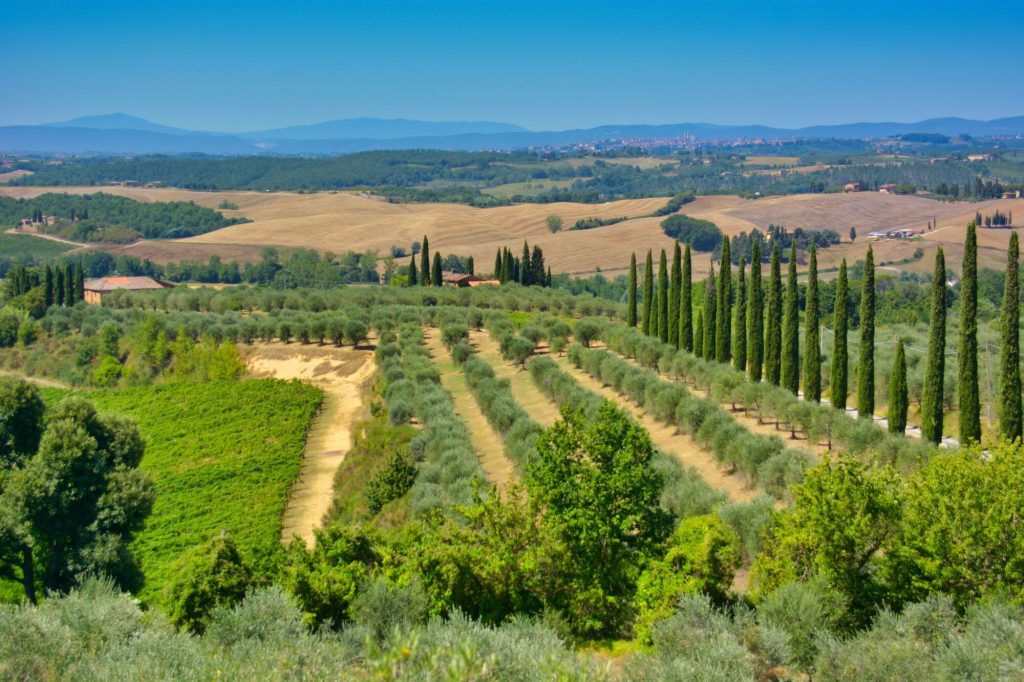 4 giorni/3 notti Sapori e cultura di Toscana