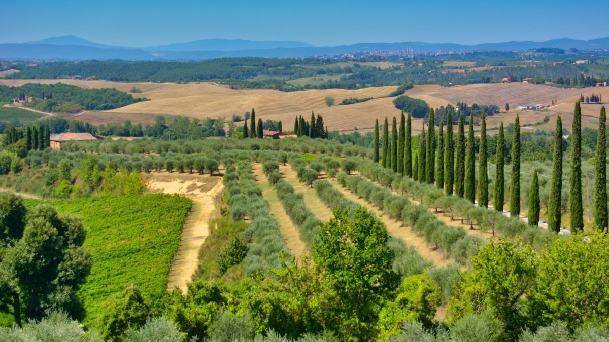 4 giorni/3 notti Sapori e cultura di Toscana