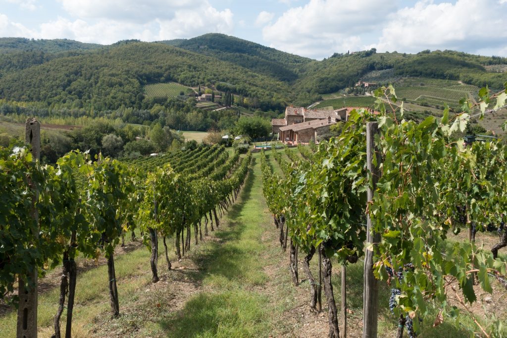 6 giorni/5 notti I luoghi del Vino in Toscana