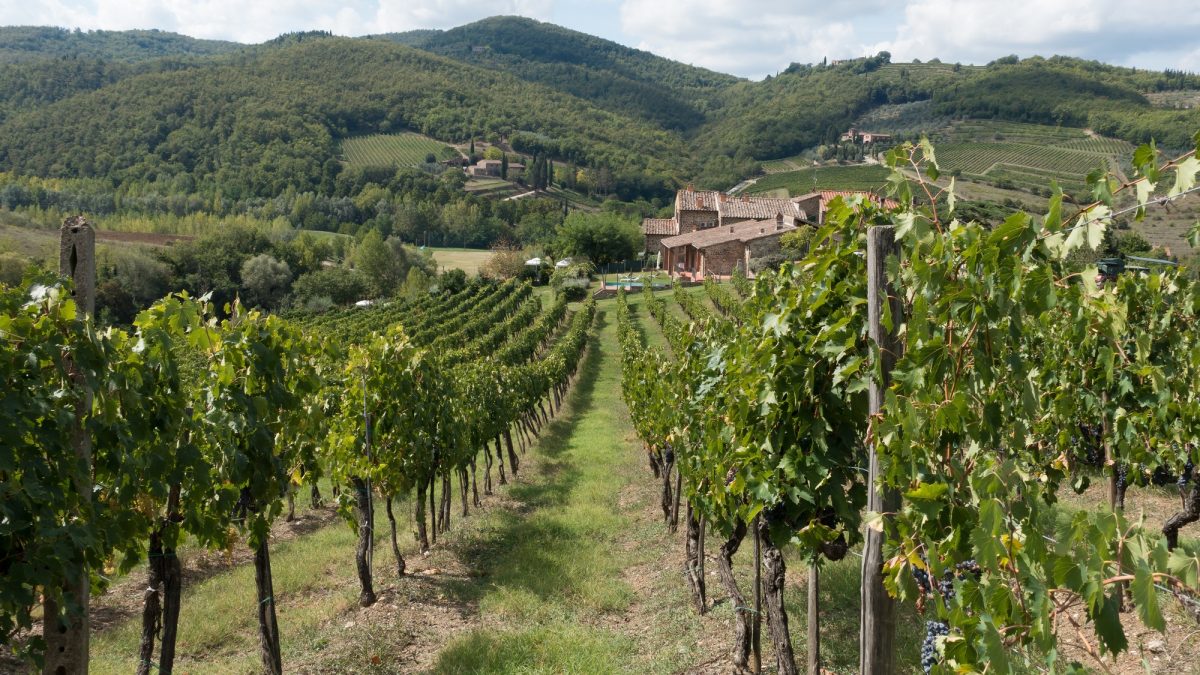 6 giorni/5 notti I luoghi del Vino in Toscana