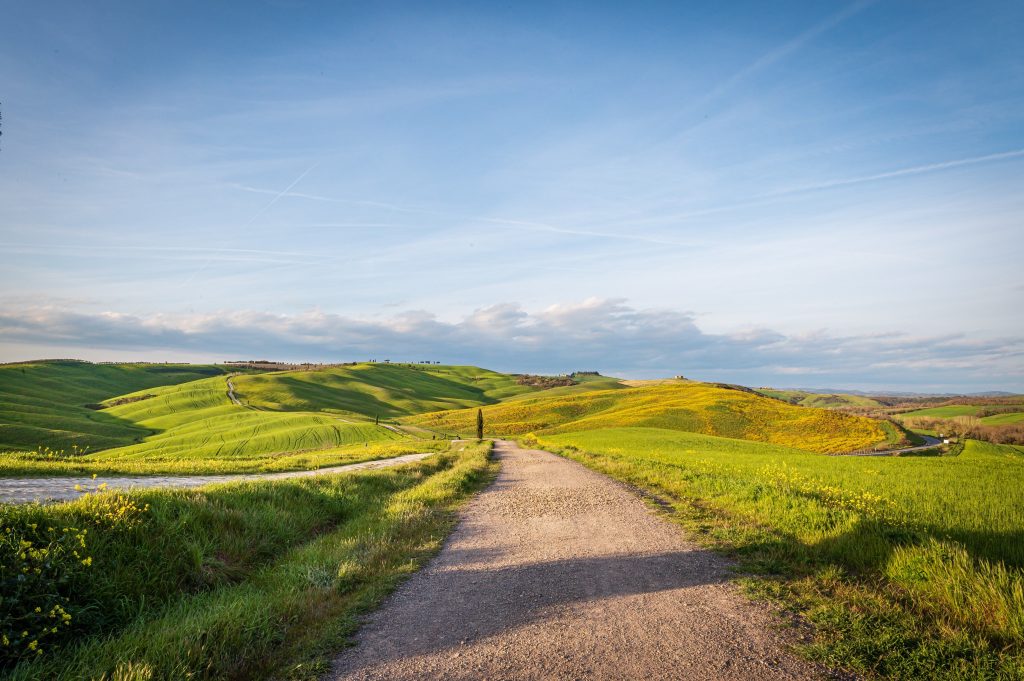 Sweet walk in Tuscany