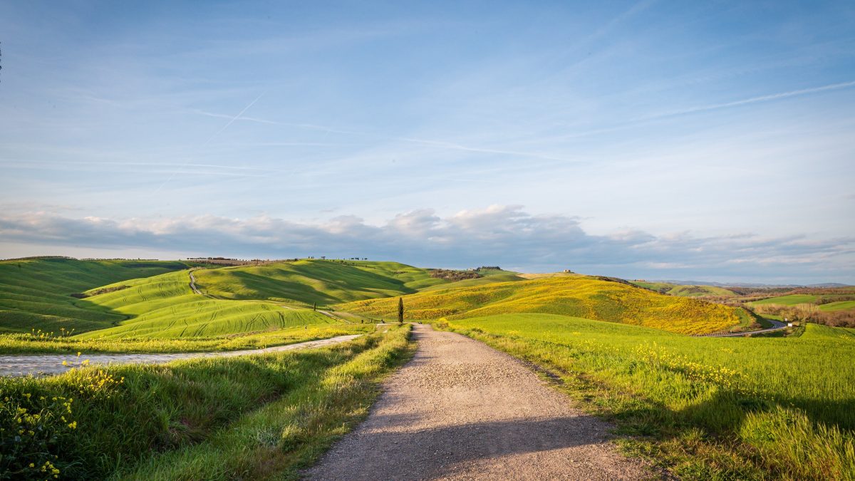 Sweet walk in Tuscany