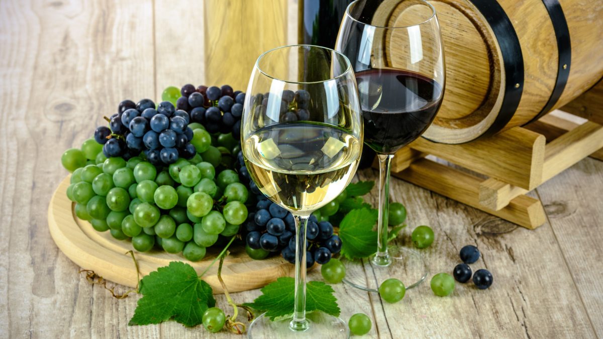 Les Langhe, ses vins et plus encore….