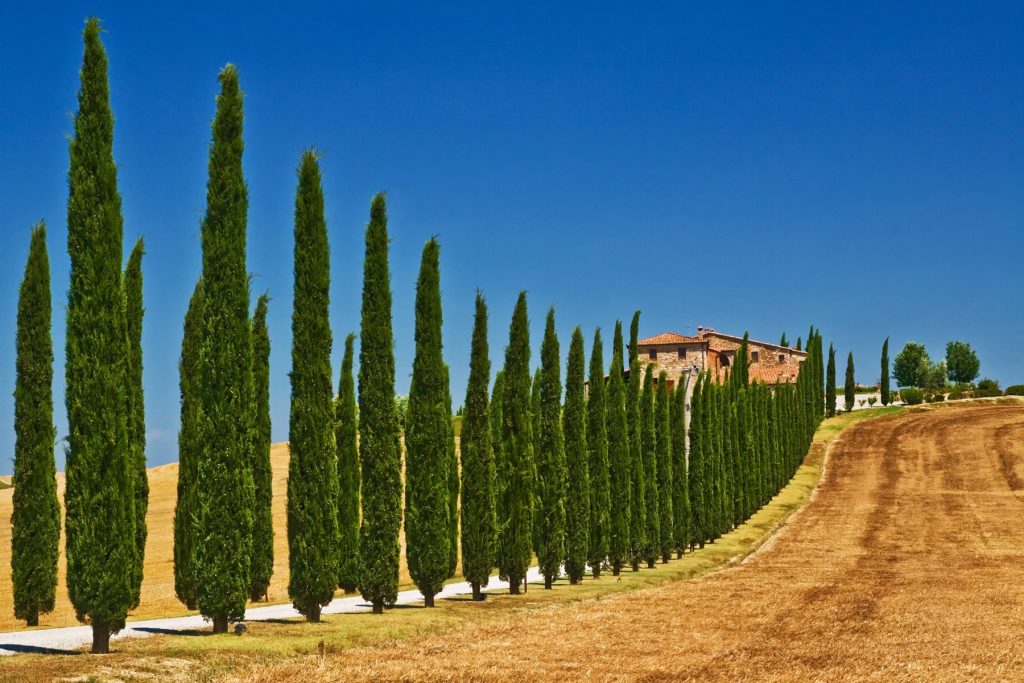 5 jours/ 4 nuits Douces balades en Toscane