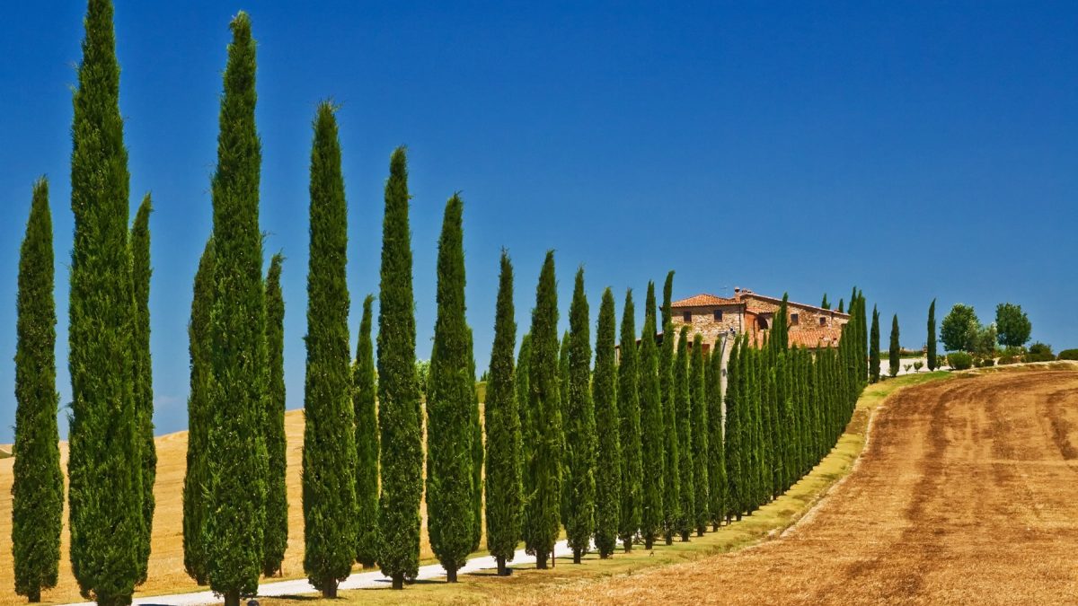 5 jours/ 4 nuits Douces balades en Toscane